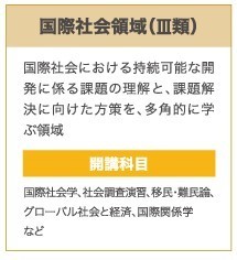 国際社会領域（Ⅲ類）