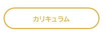 カリキュラム