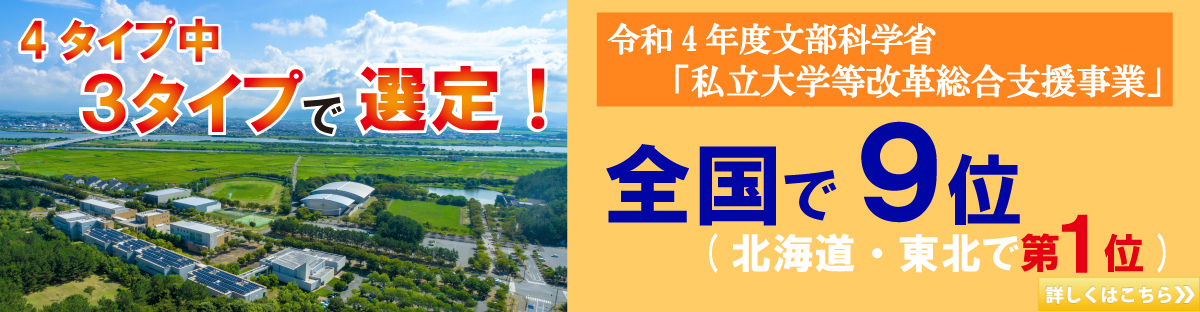 改革総合支援事業