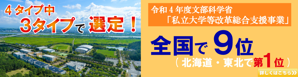 4タイプ中3タイプ選定