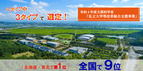 改革総合支援事業