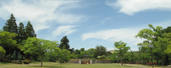 院生への支援のイメージ