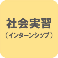 インターンシップ