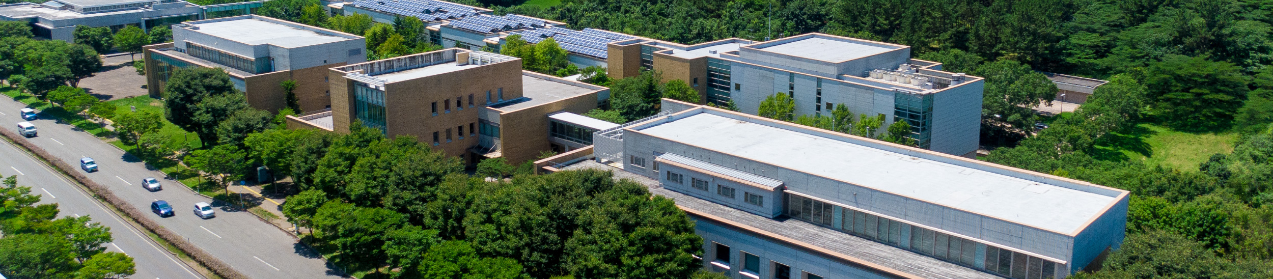 国際コミュニケーション学科のタイトル画像