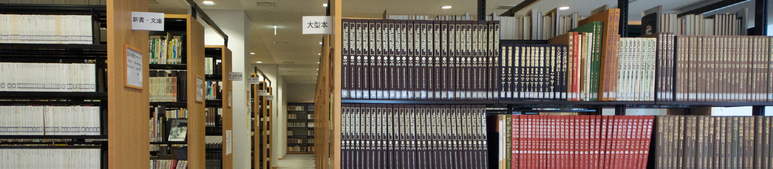 研究のタイトル画像