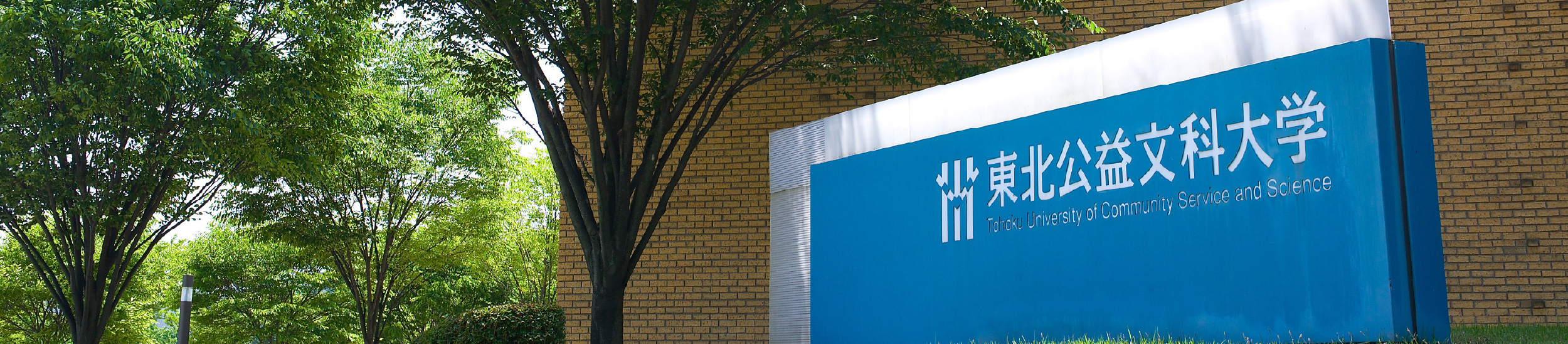 大学案内のタイトル画像