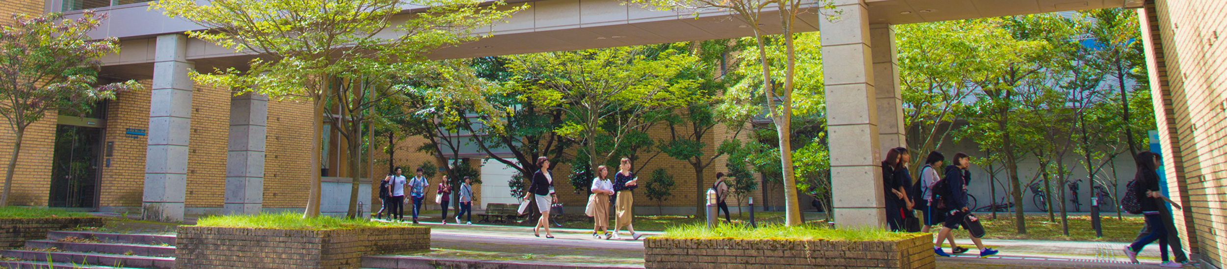 教員紹介のタイトル画像